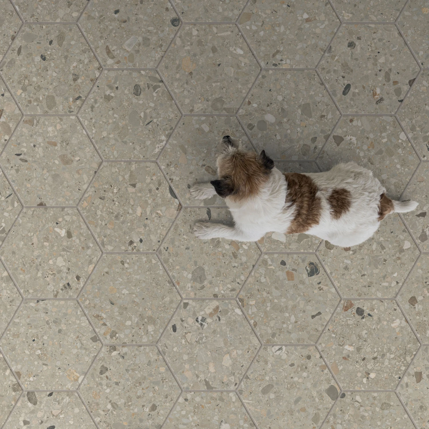 Fragments Light Tile 3 Fragments Light Tile - Image 3