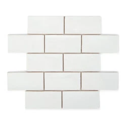 Ludlow Ammonite Wall Tile