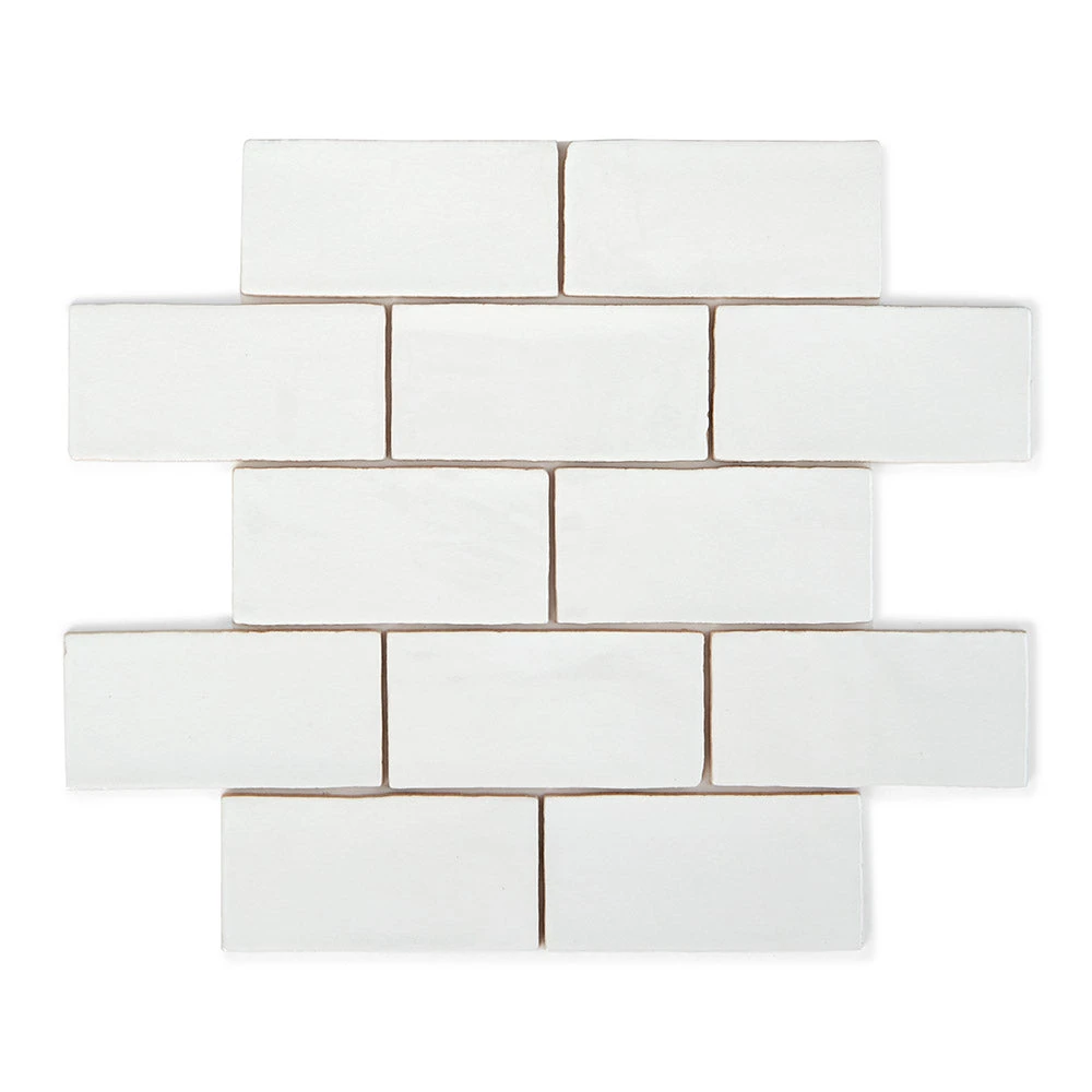 Ludlow Ammonite Wall Tile 1 Ludlow Ammonite Wall Tile