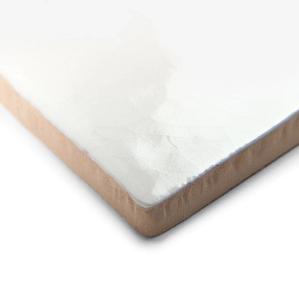 Ludlow Ammonite Wall Tile 3 Ludlow Ammonite Wall Tile - Image 3